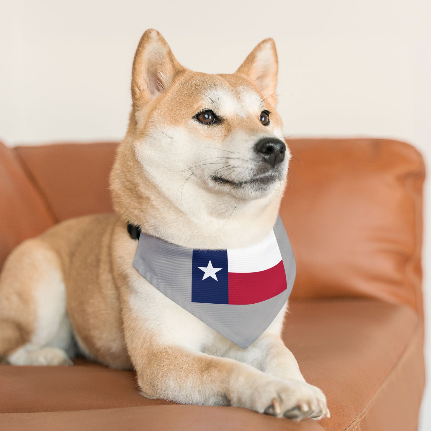 Texas Flag Pet Bandana Collar