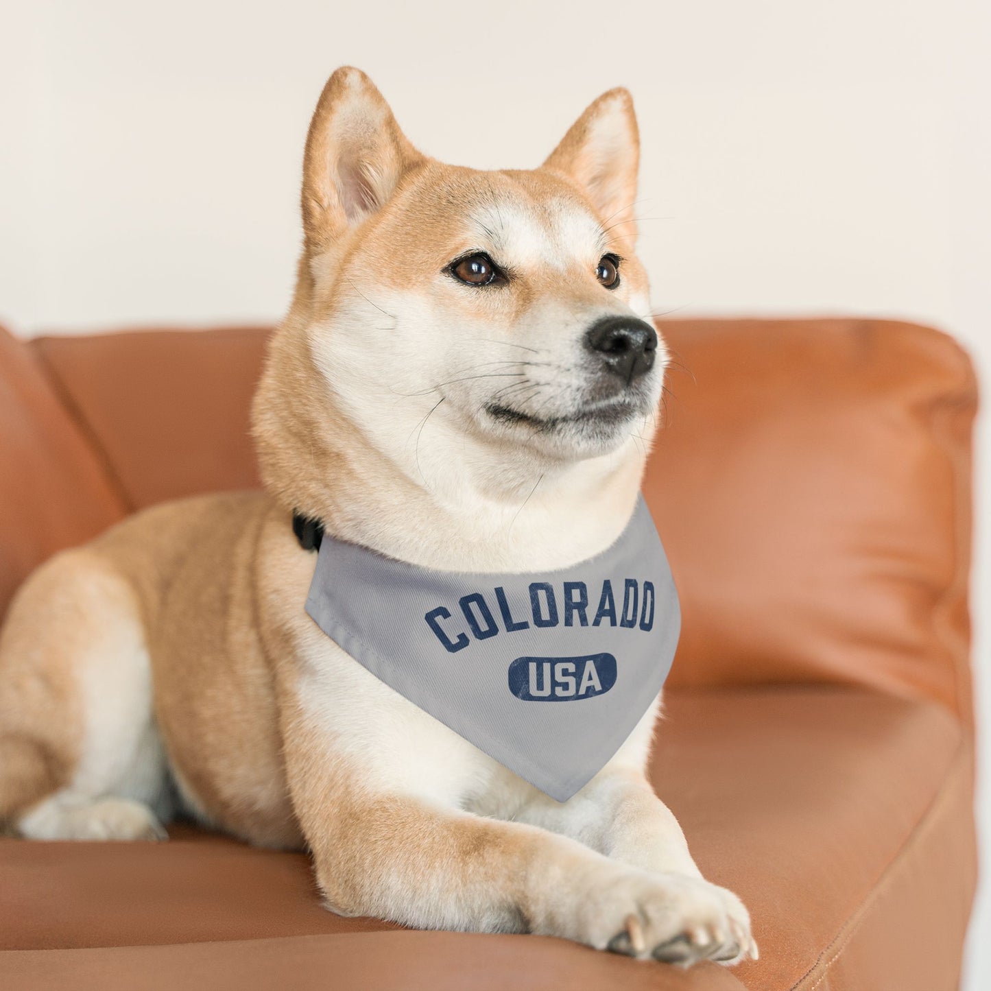 Colorado USA Pet Bandana Collar