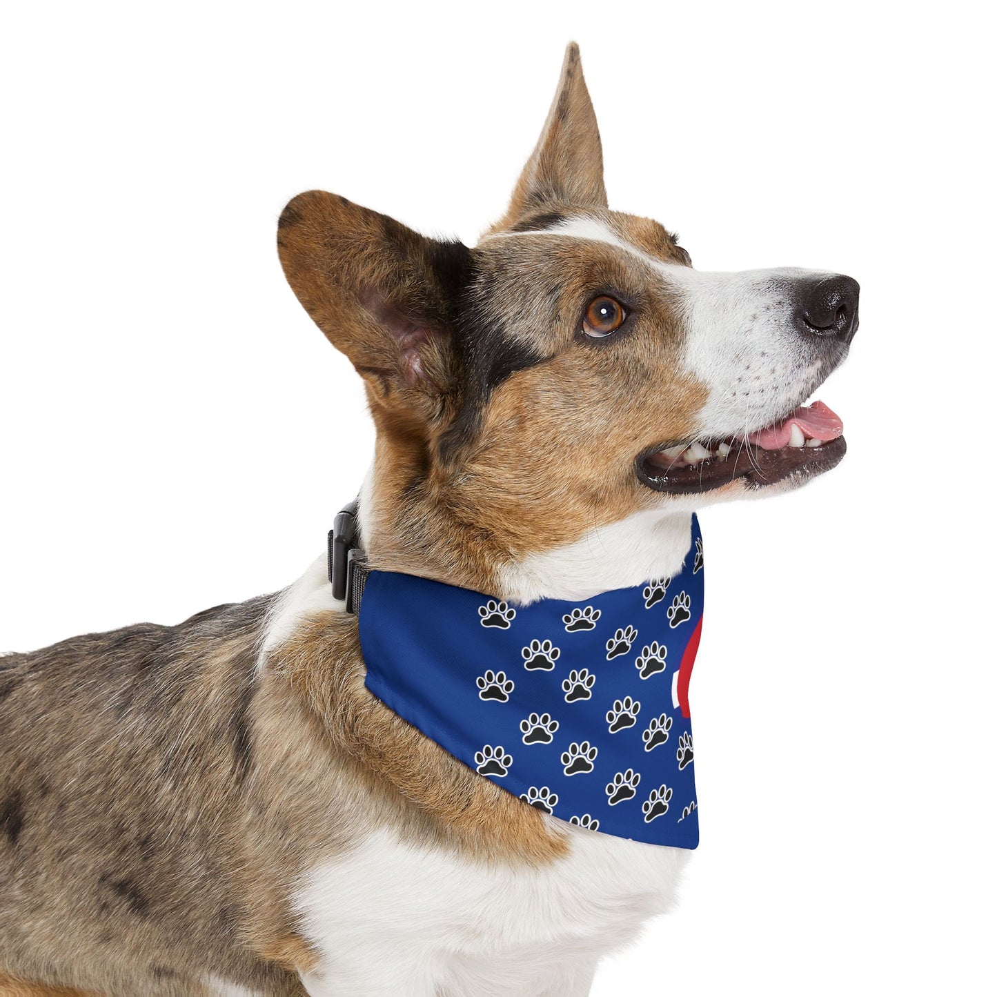 Colorado Flag Paw Print Pet Bandana Collar