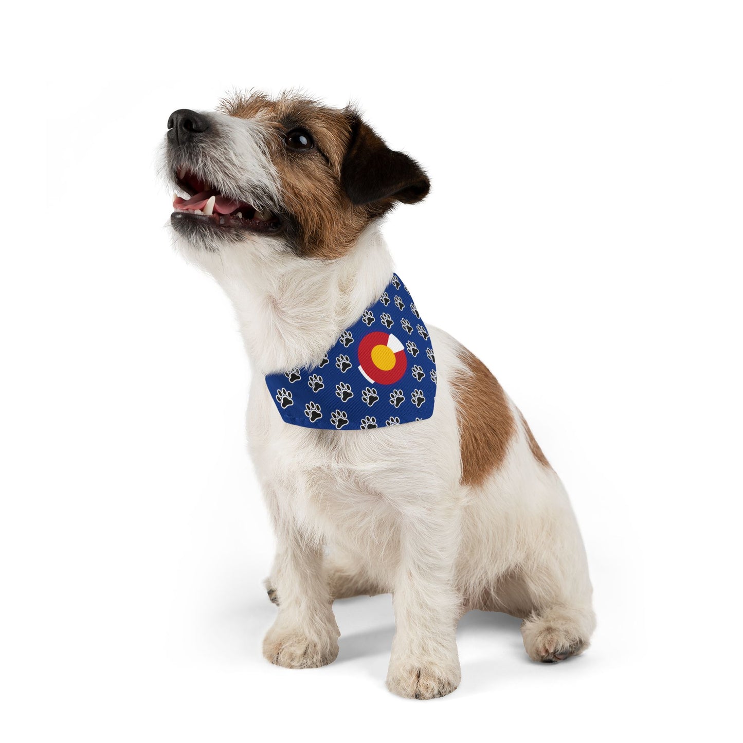 Colorado Flag Paw Print Pet Bandana Collar