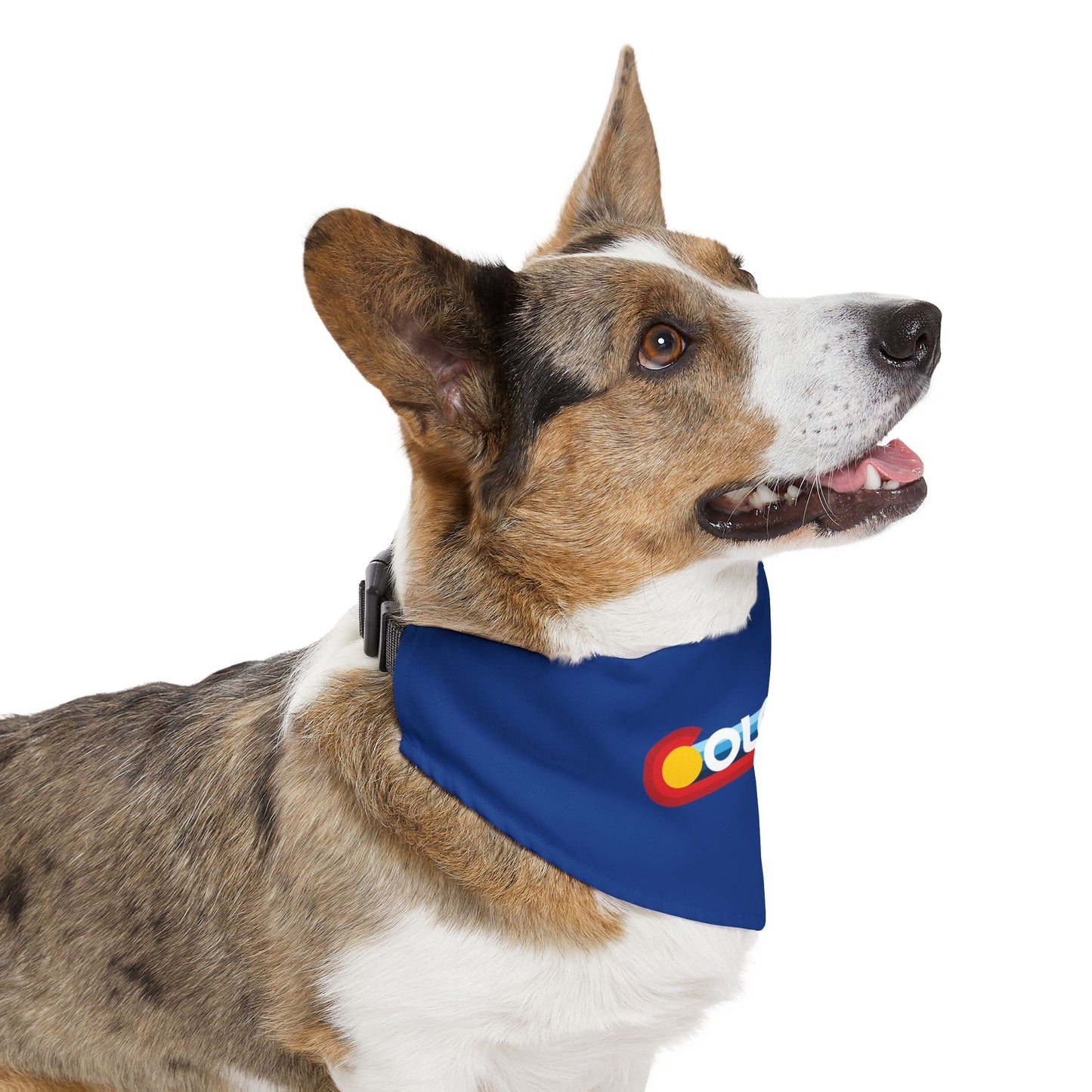 Colorado Ombre Pet Bandana Collar