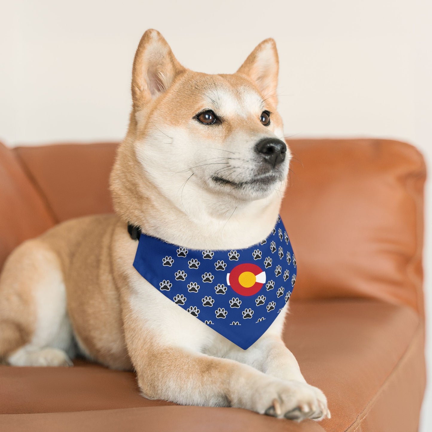 Colorado Flag Paw Print Pet Bandana Collar