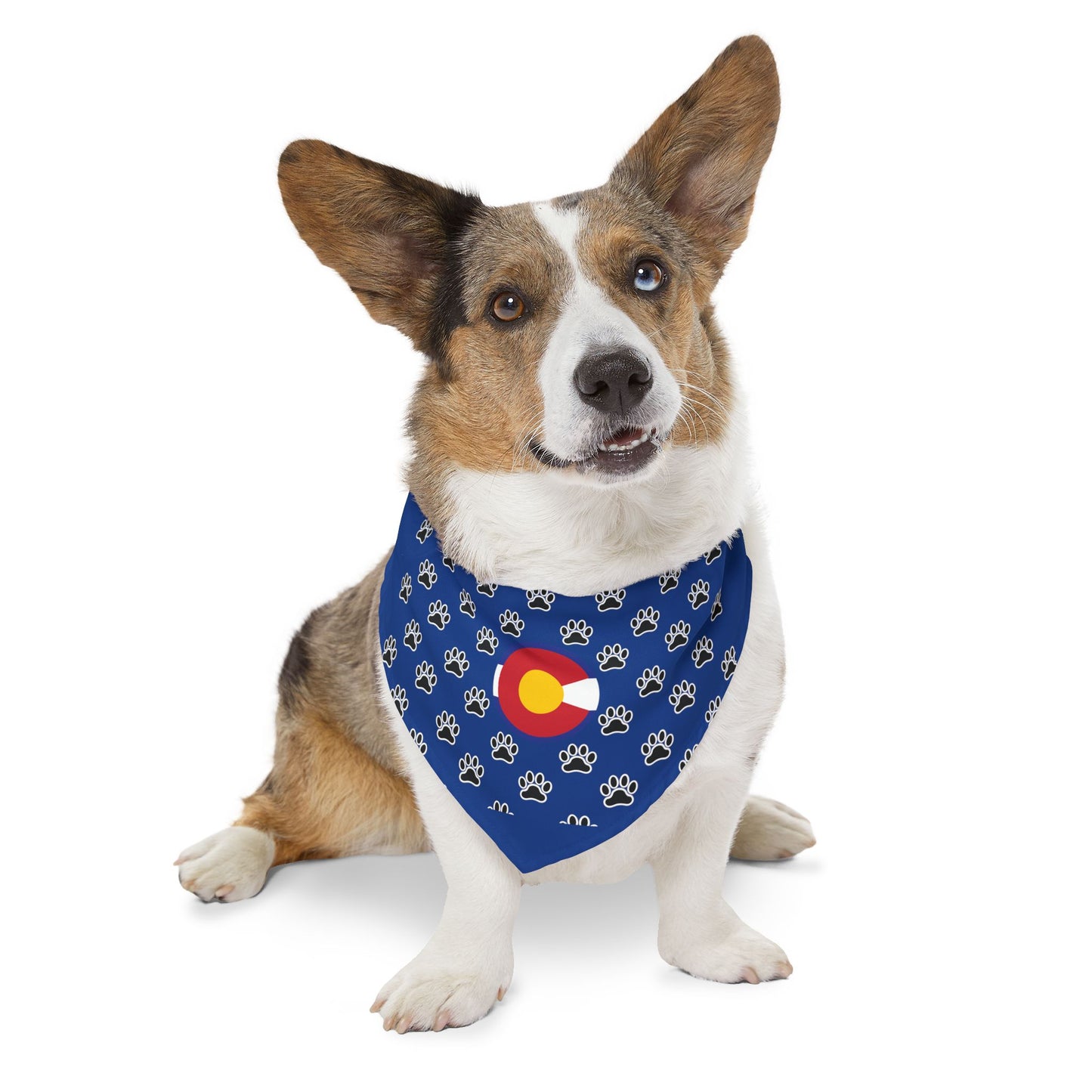 Colorado Flag Paw Print Pet Bandana Collar