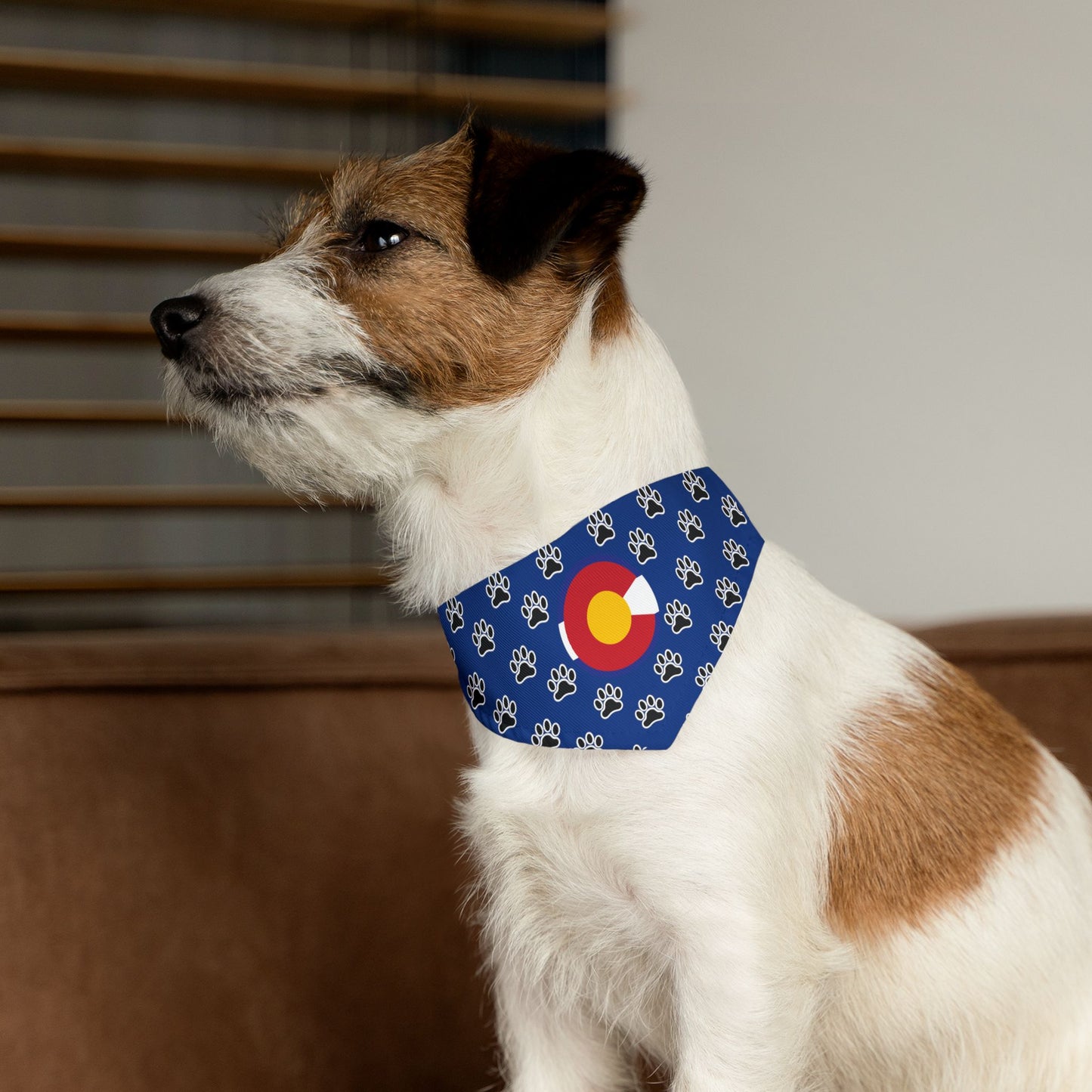 Colorado Flag Paw Print Pet Bandana Collar